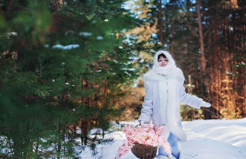 Двенадцать месяцев