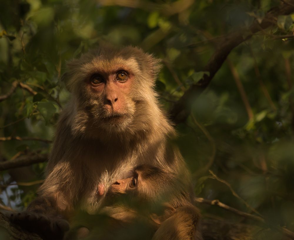 The most comforting place in the Universe is in the arms of Mother.