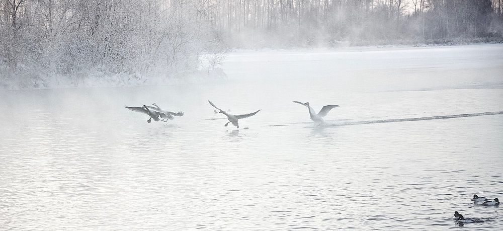 тормоза  ....