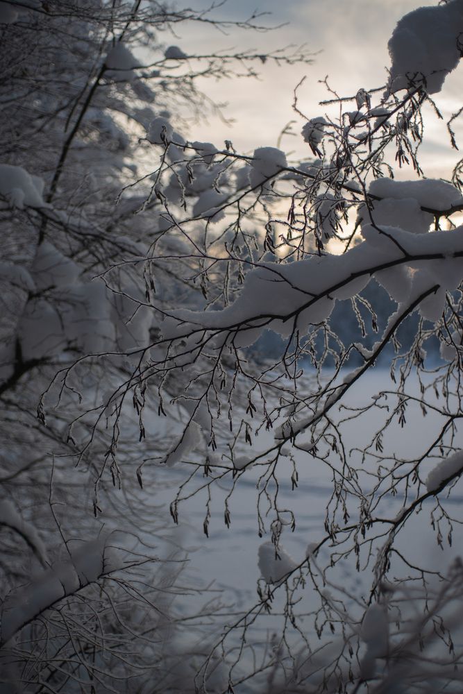 Причуды Деда Мороза.