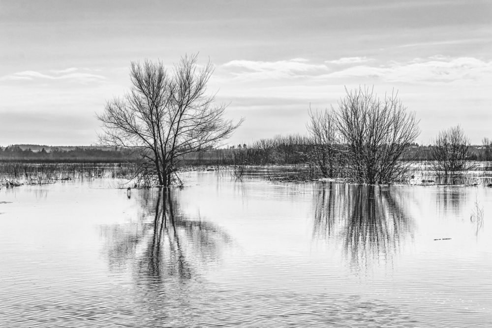 Отраженные в талой воде..