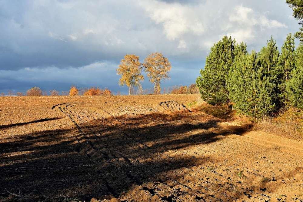 Photograph by Alexey Smal