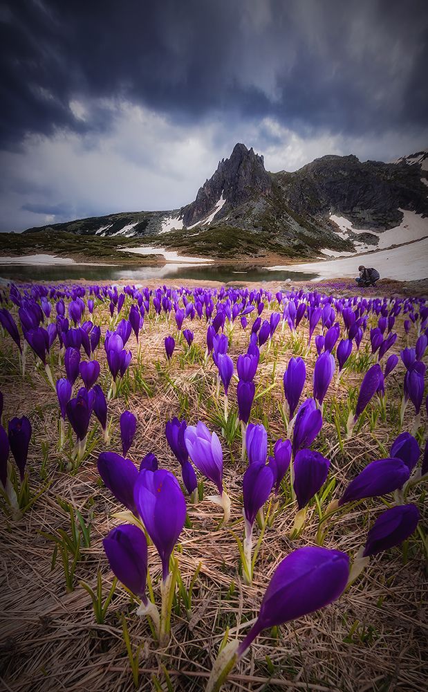 Photograph by Svetoslav Georgiev