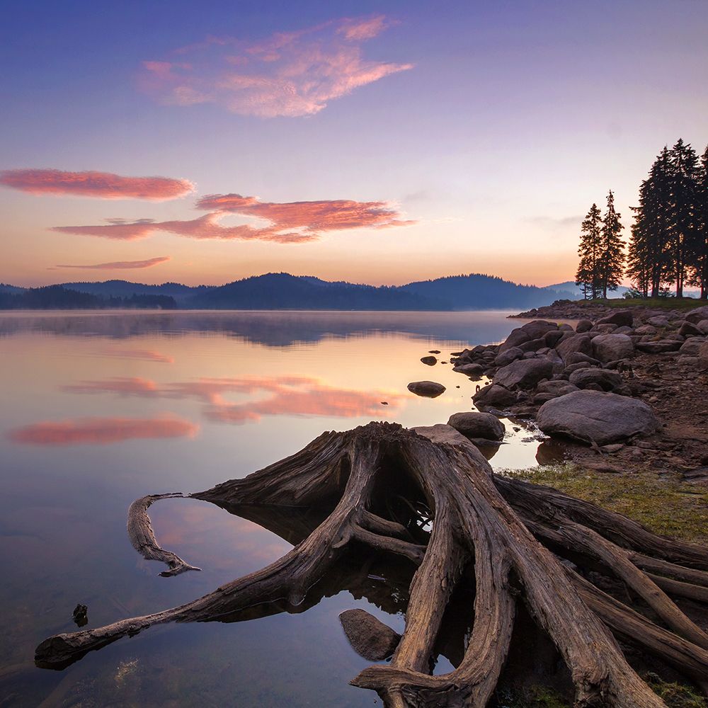 Photograph by Svetoslav Georgiev