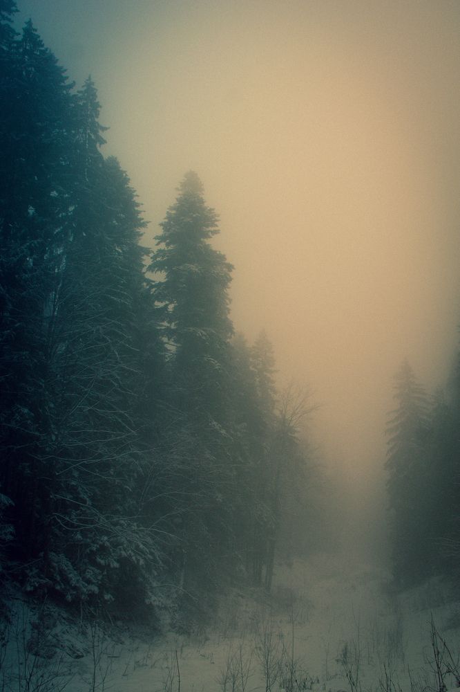 Cold Fog
