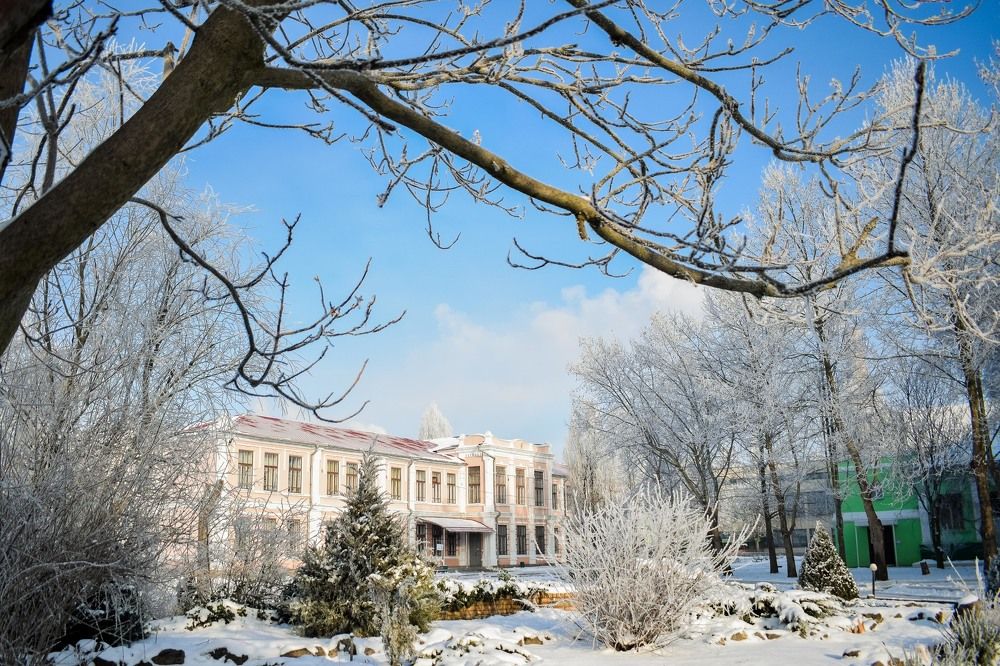 Редкая зима