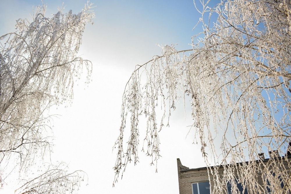 Застывшее мгновение