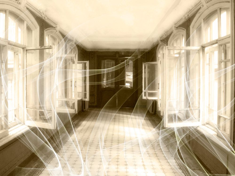 В моих снах