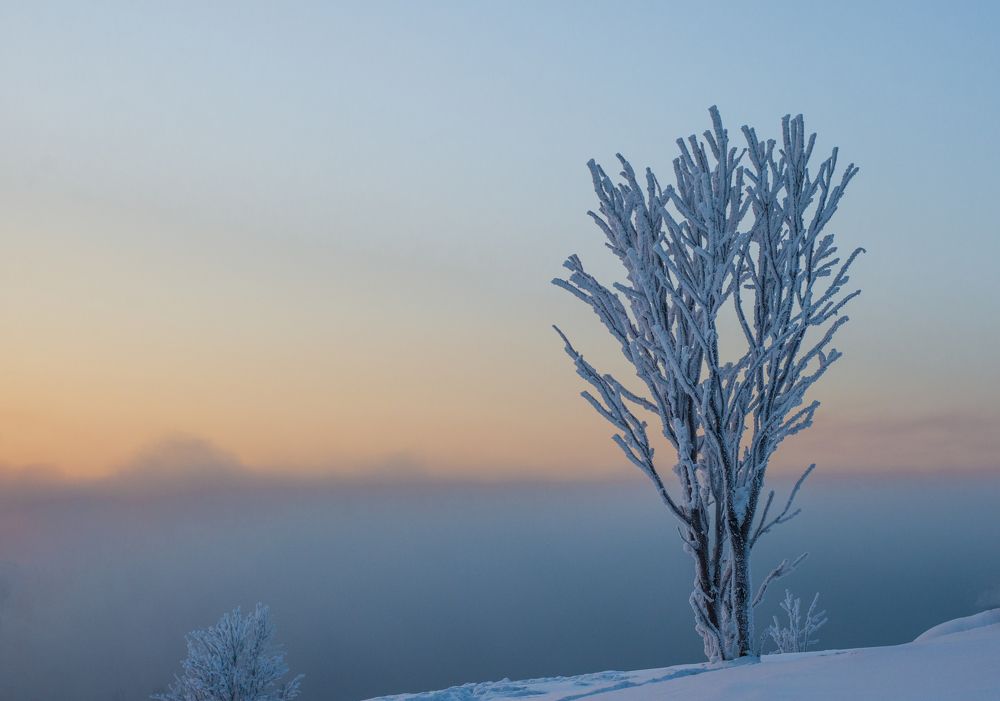 Одиночество