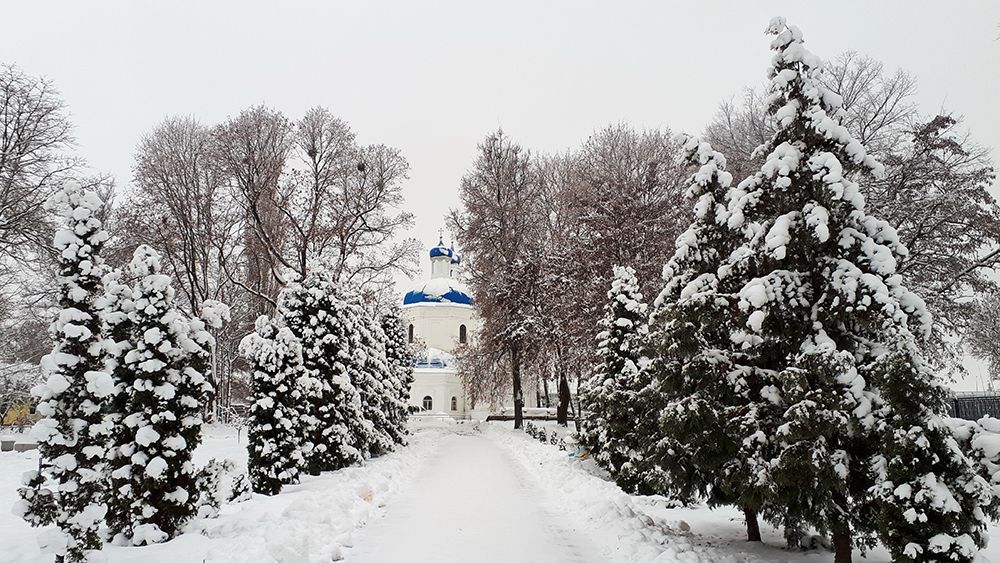 Photograph by Михаил Рассказ