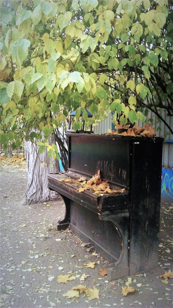 Осенняя мелодия