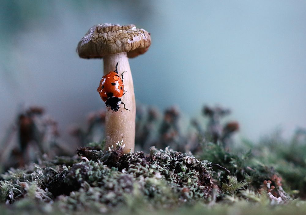 Утренняя разминка