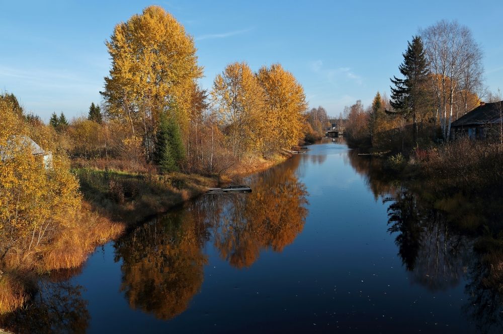 Цвета осени.