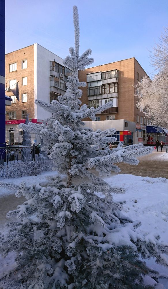 Маленькой елочке холодно зимой