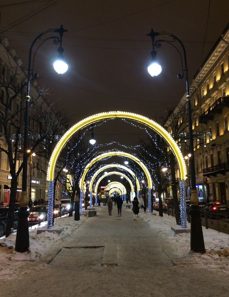 Зимняя аллея в Петербурге