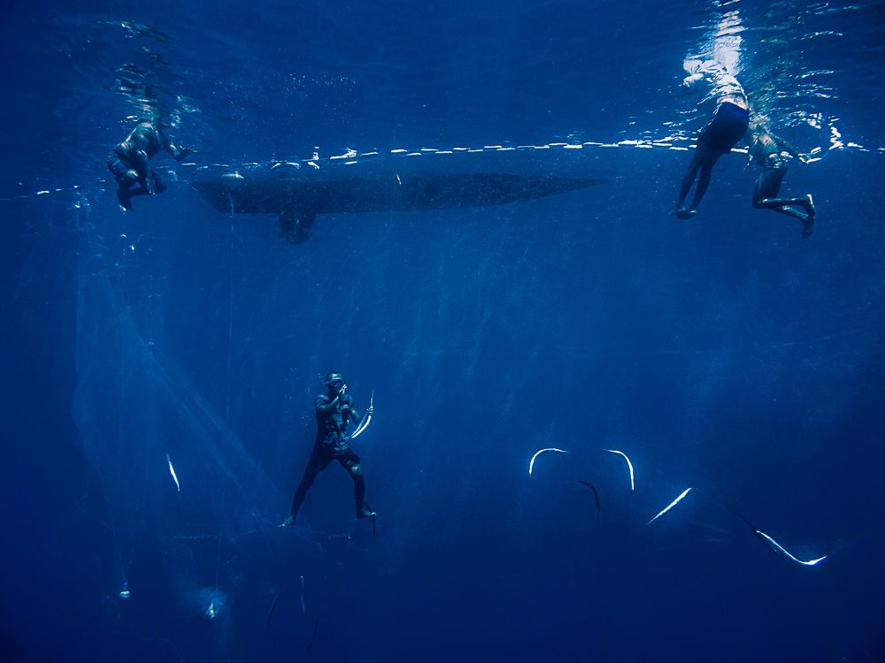 Apnea Fishermen