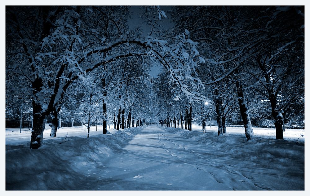 Снежная ночь