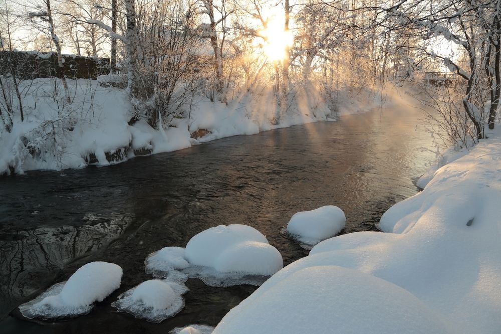Солнечный день.