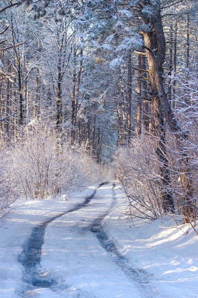 Photograph by Светлана Чужданова