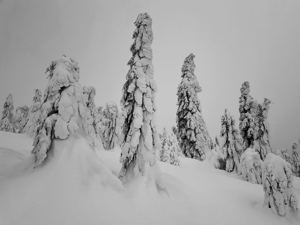 Photograph by Marcin Sokolowski - maarew