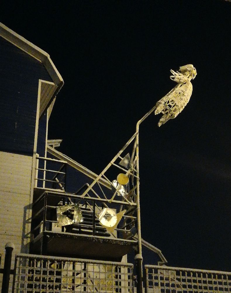 Ночной полет