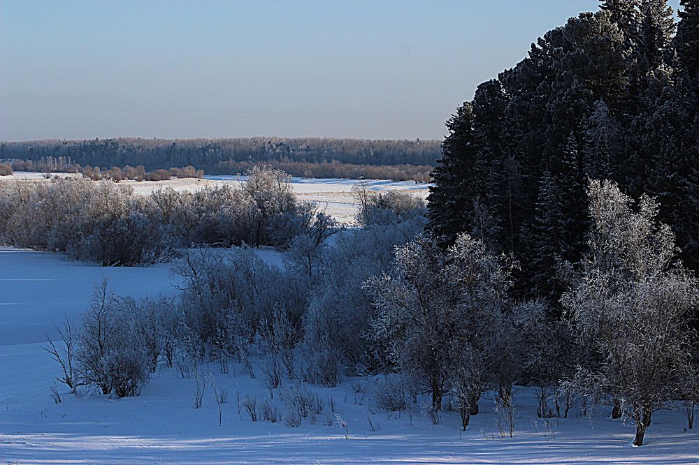 Пойменные просторы