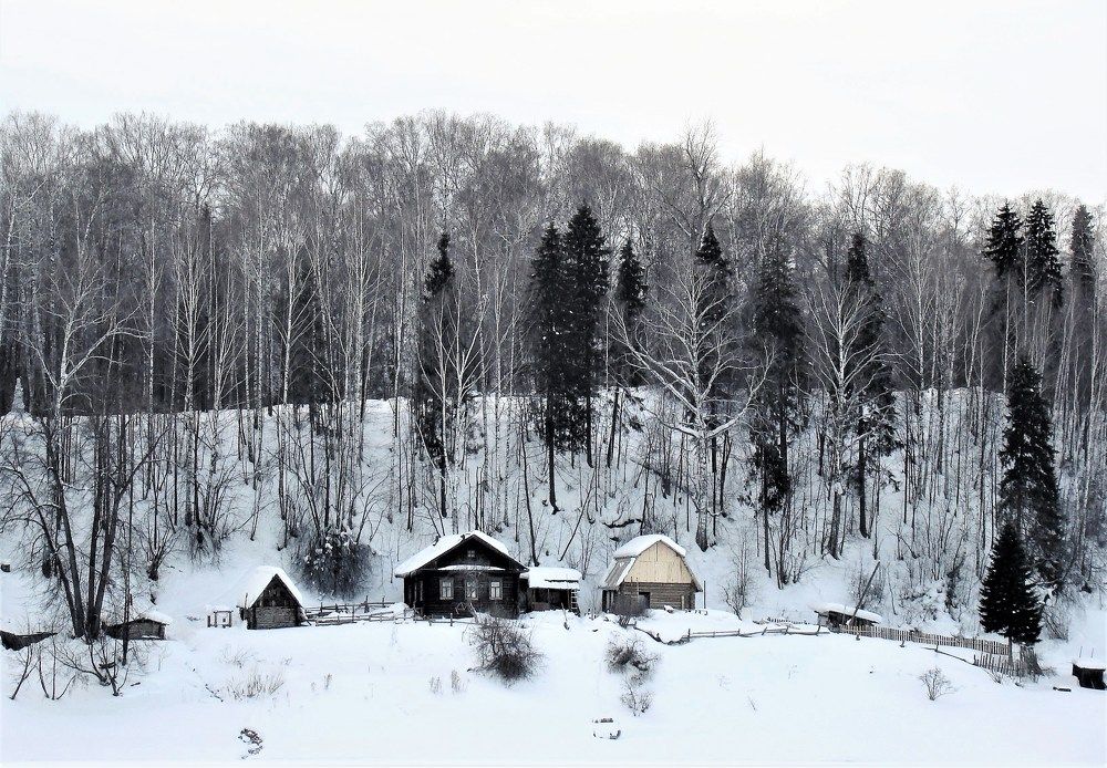 Photo #2955366