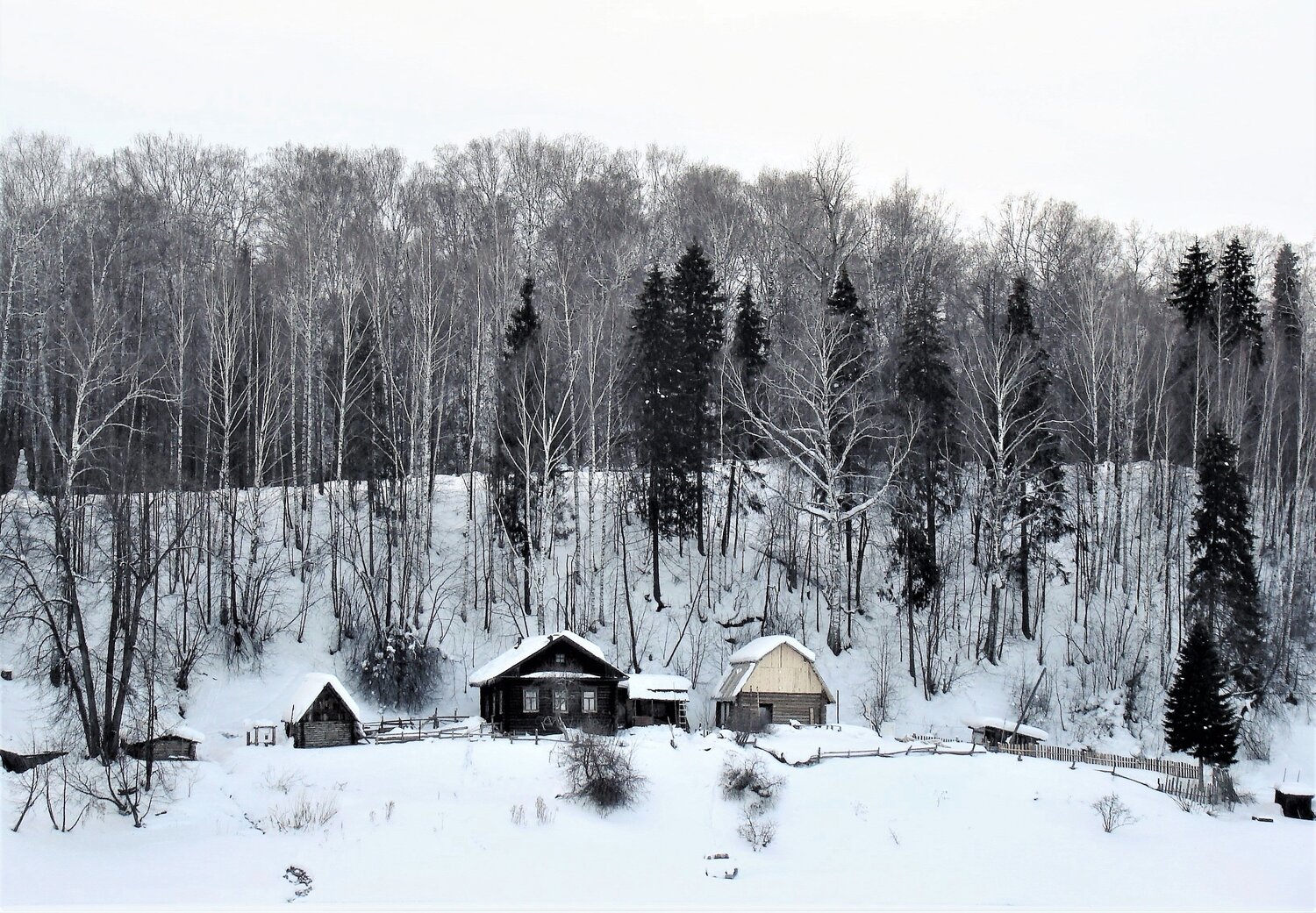 Photo #2955366
