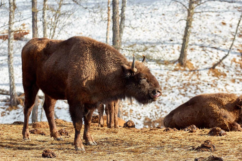 Photograph by Константин Кузнецов
