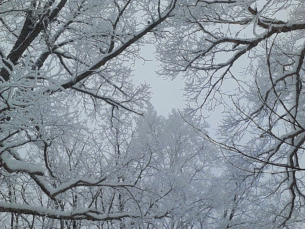 Снежный наряд