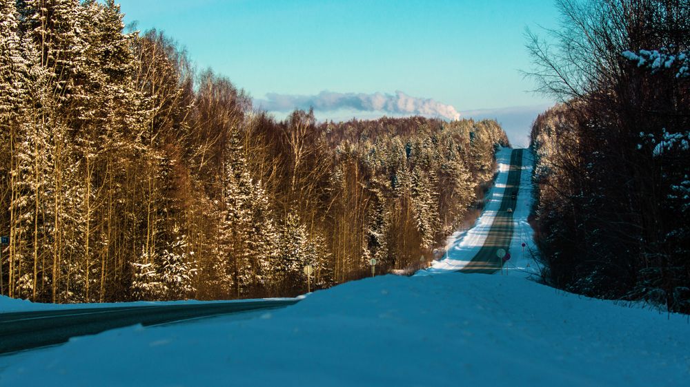 Дорога домой