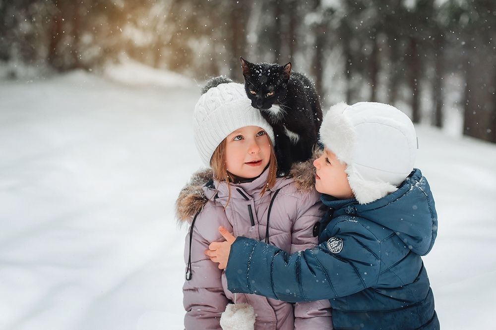 Без кота и жизнь не та