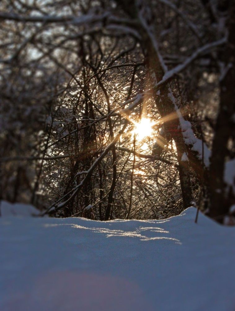 Светит мне знакомая звезда