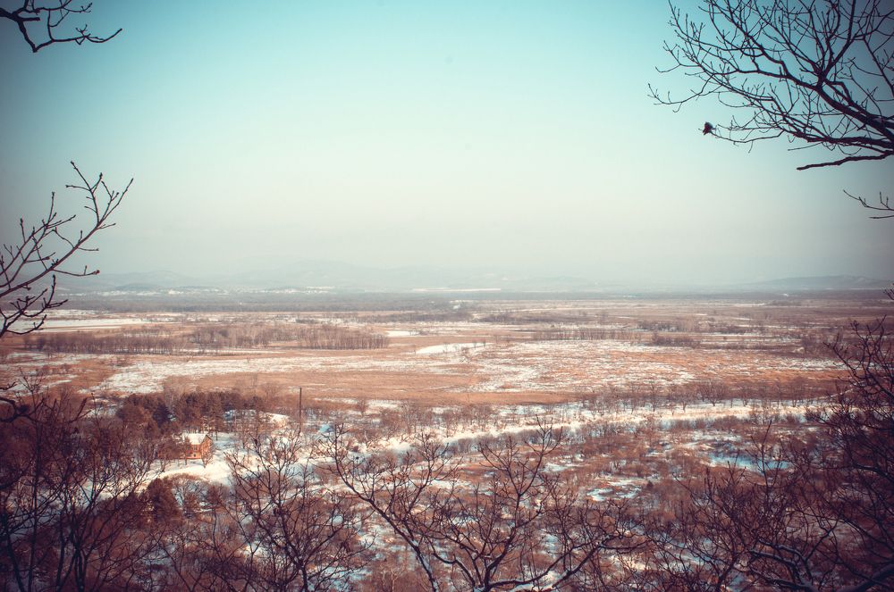 Шмаковский пейзаж
