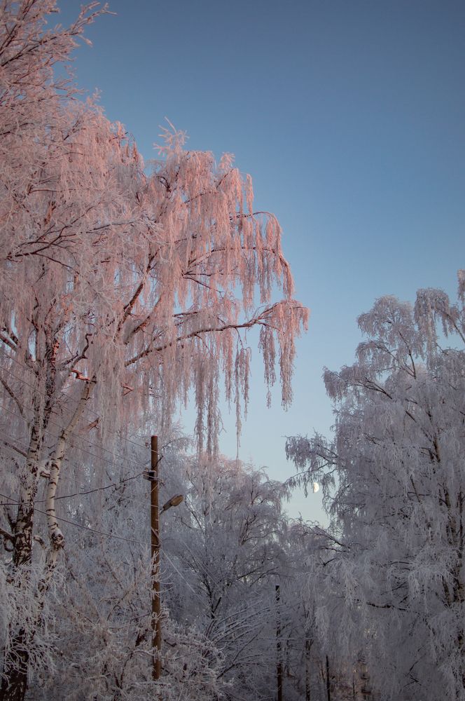 Between day and night