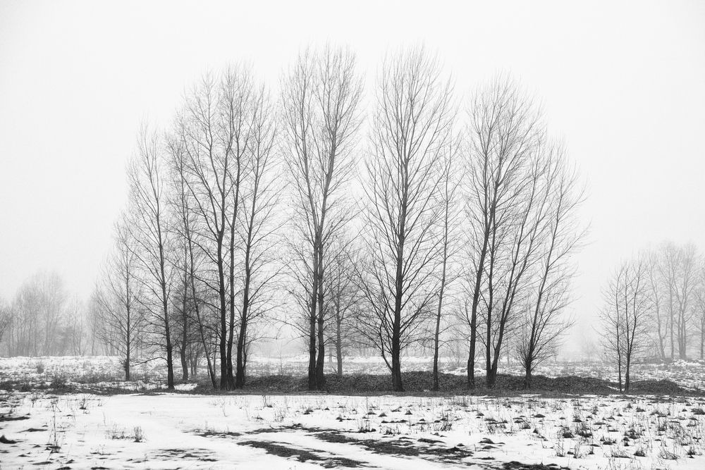 Зимовий пейзаж