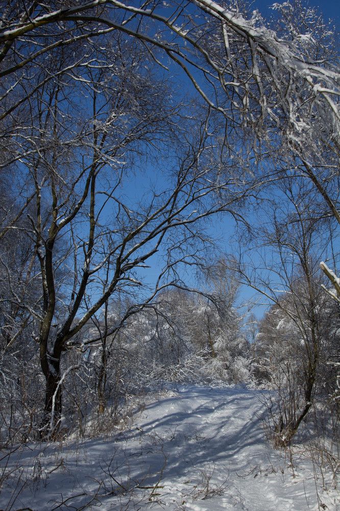 Photograph by Anna Novak