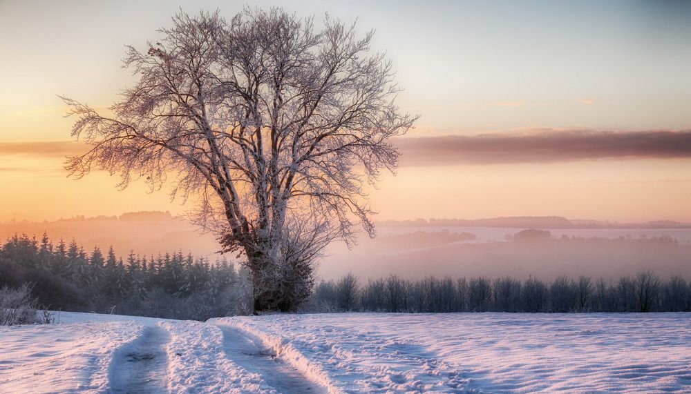 Photograph by Guy Krier