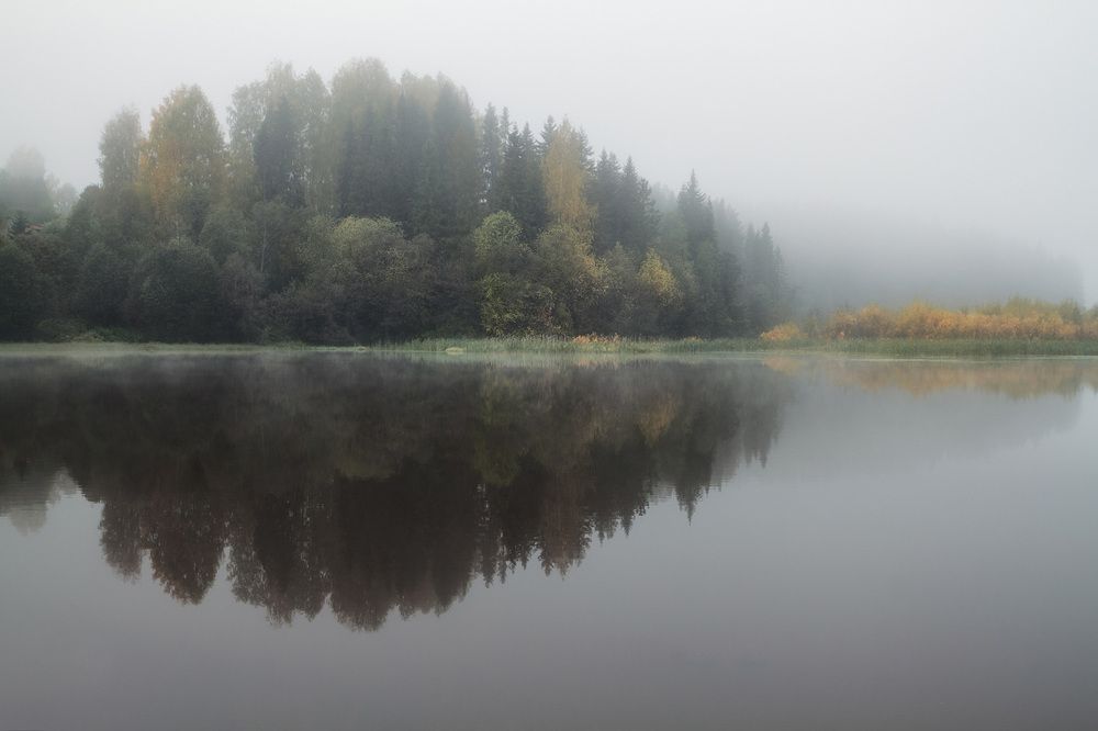 Симметрия туманного утра