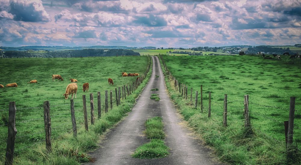 Photograph by Guy Krier