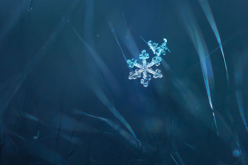 Photograph by Жданов Дмитрий