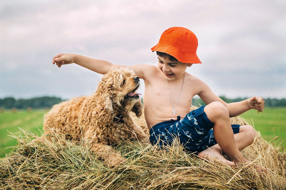 Photograph by Юлия Пробер