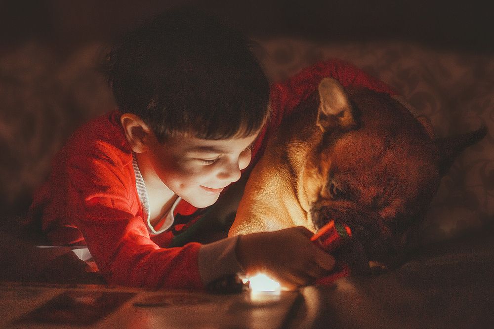 Photograph by Юлия Пробер