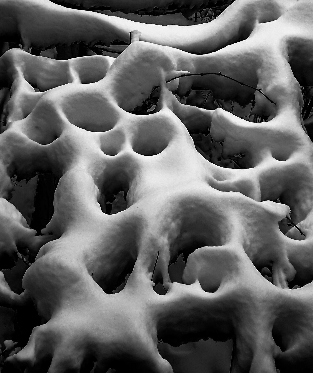 Dire snow