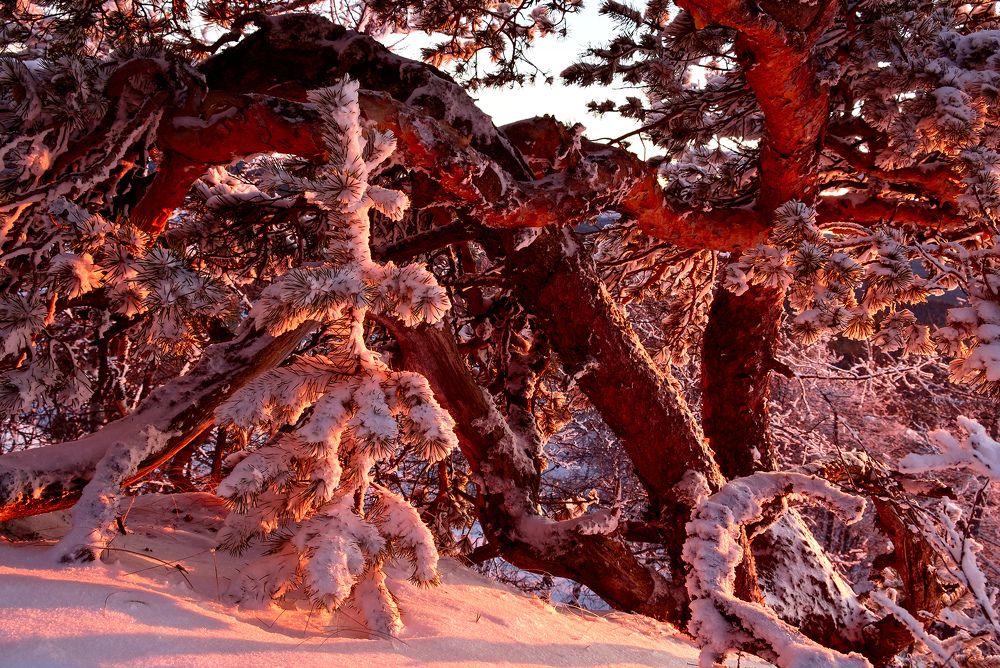 Маленькой холодно, большая согреет...