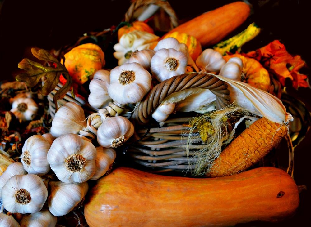 Povrće i suvo cveće