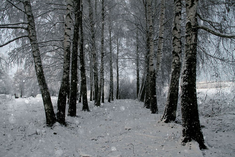 Photograph by Dzianis Mizhui