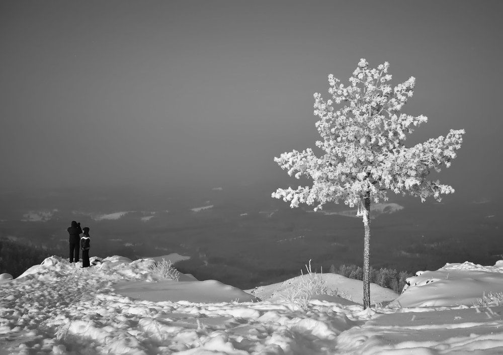 Photograph by Ольга Швили