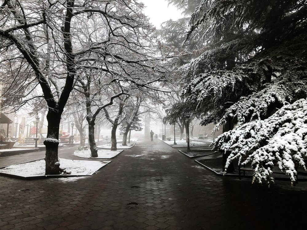 Январь в Кахетии