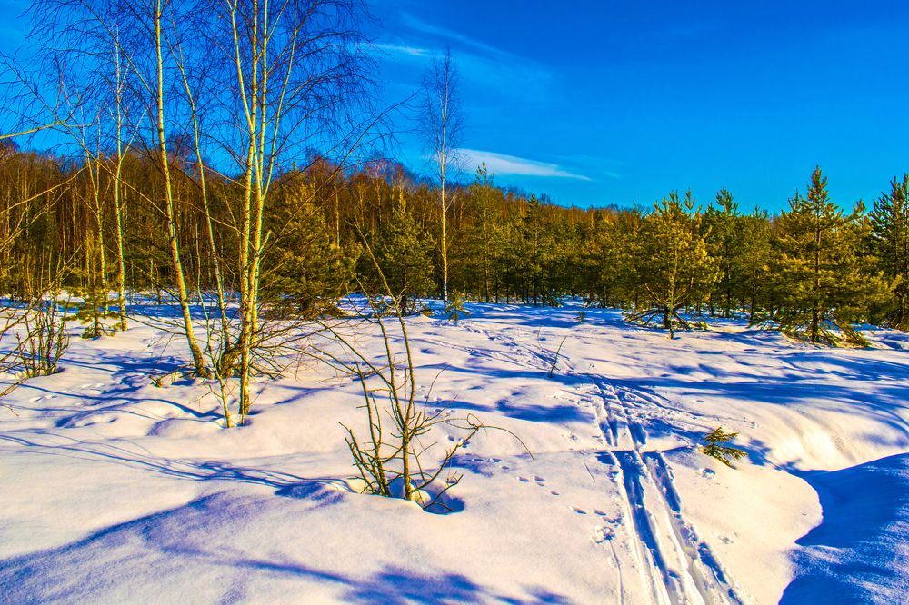 Солнечный день